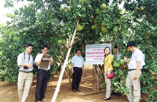 Xem chi tiết