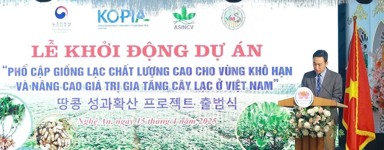 Phổ cập giống lạc chất lượng cao cho vùng Bắc Trung bộ