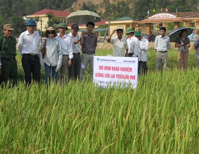 Xem chi tiết