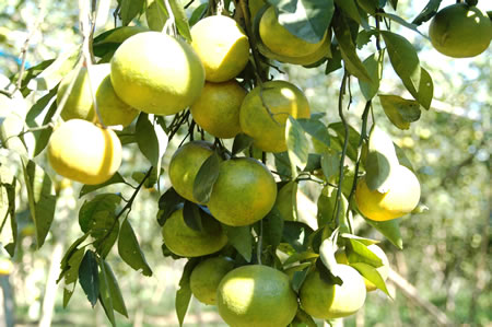 Xem chi tiết
