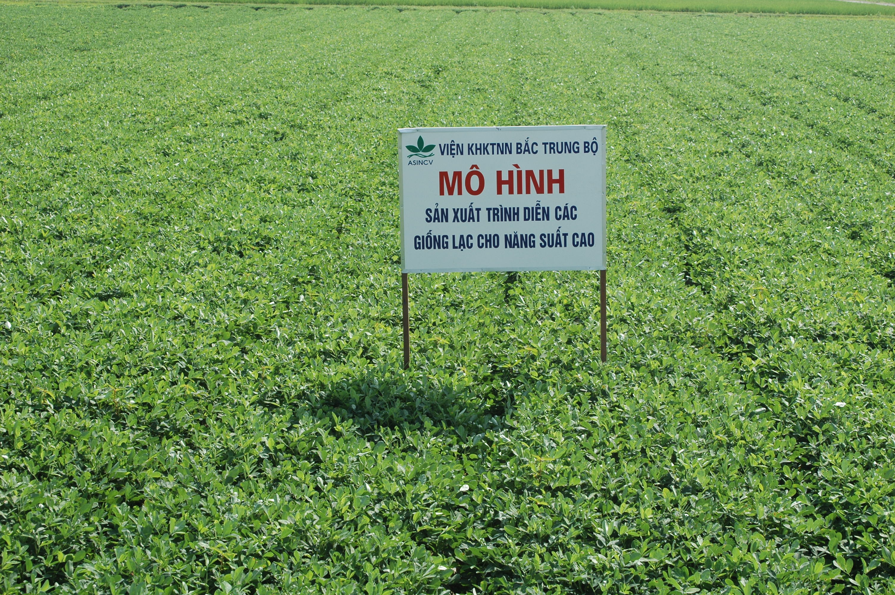 Xem chi tiết