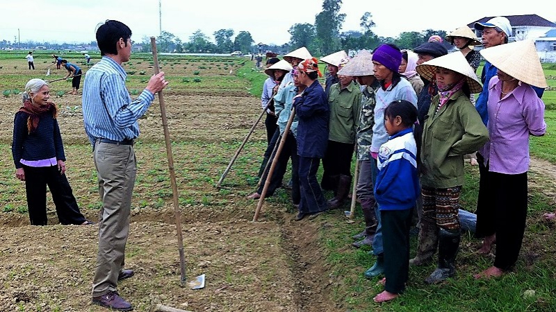 Xem chi tiết