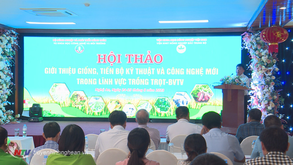 Xem chi tiết