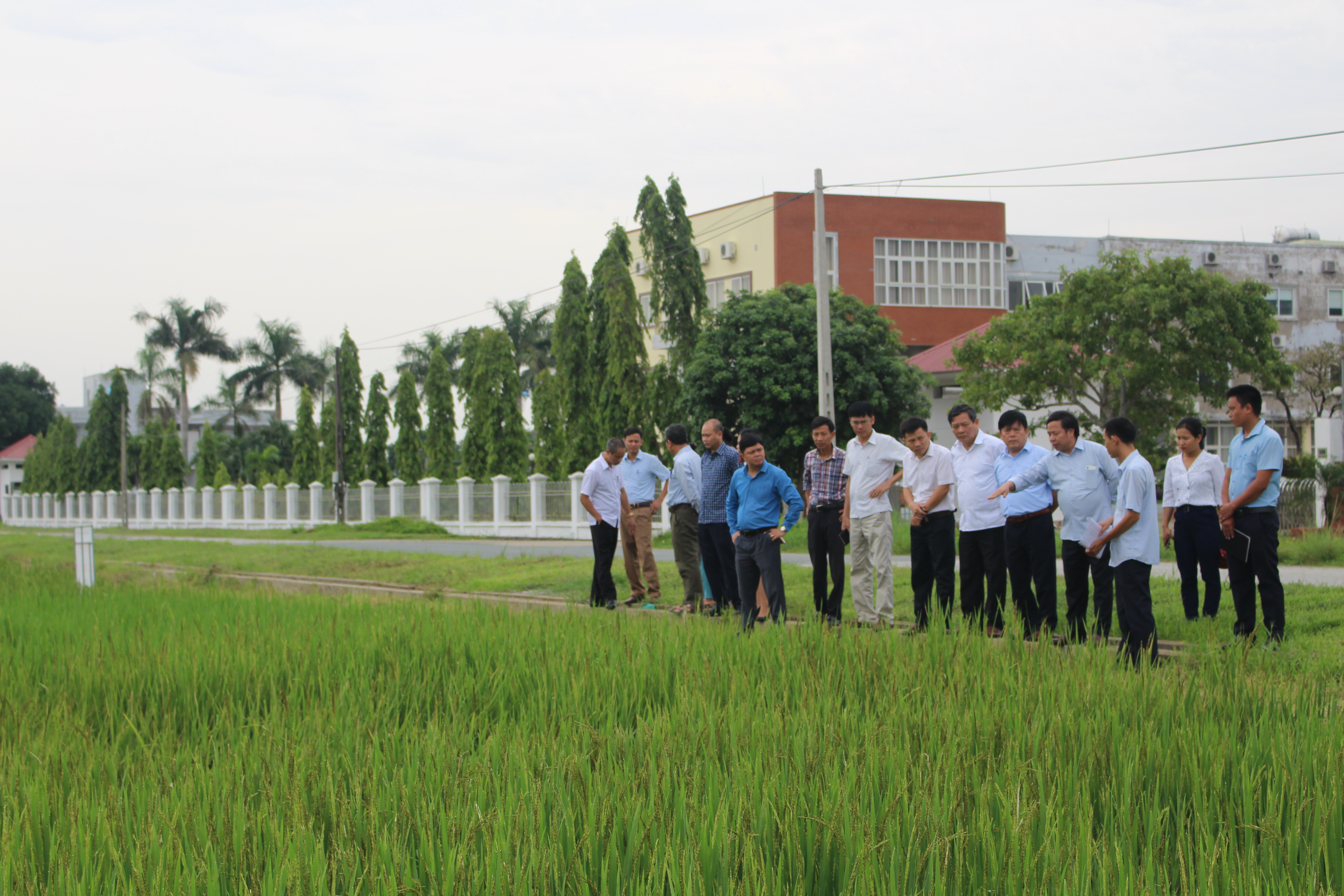 Xem chi tiết