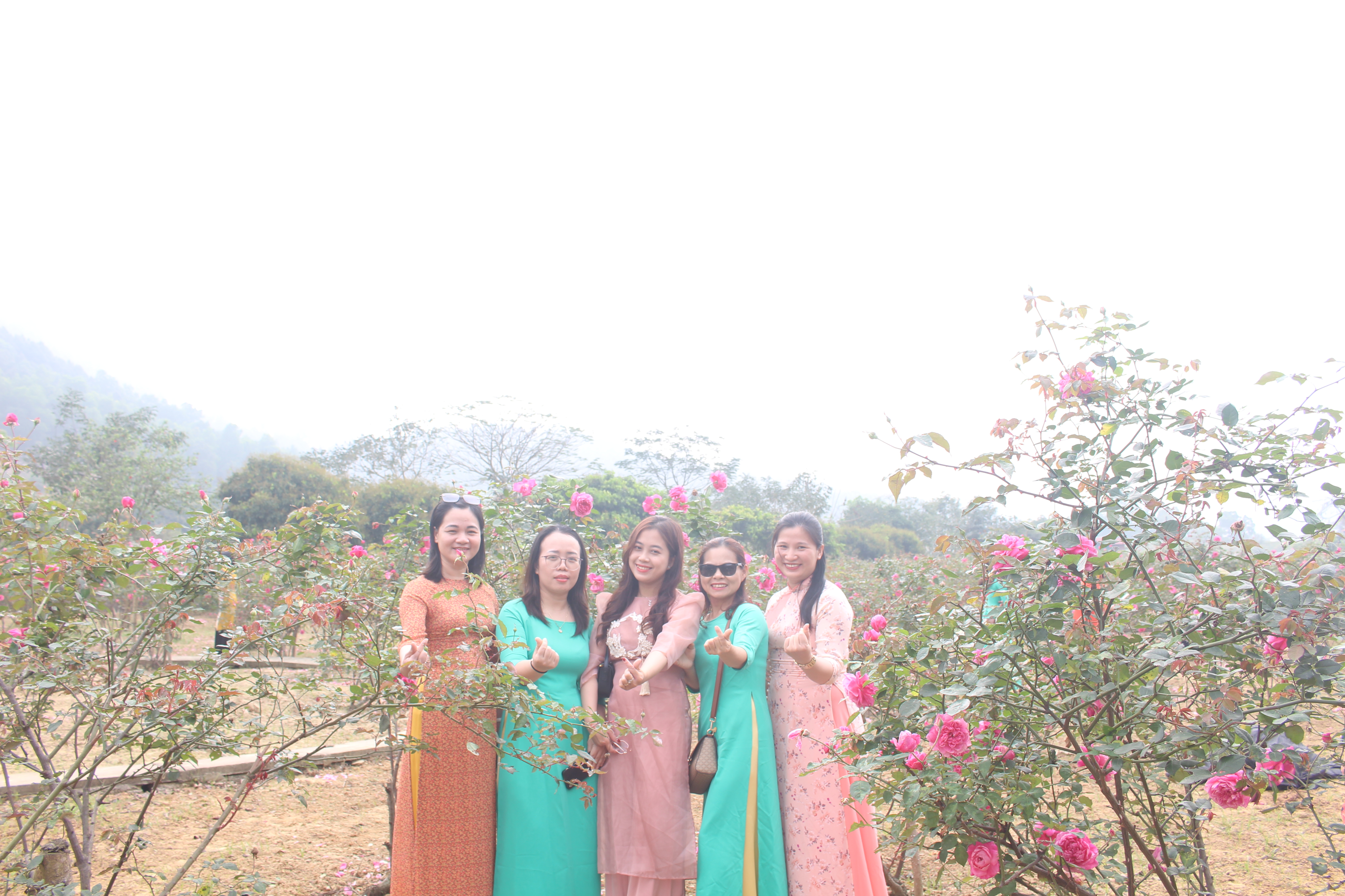 Upload