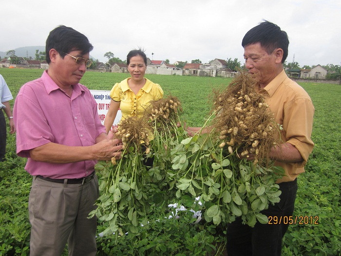 Xem chi tiết