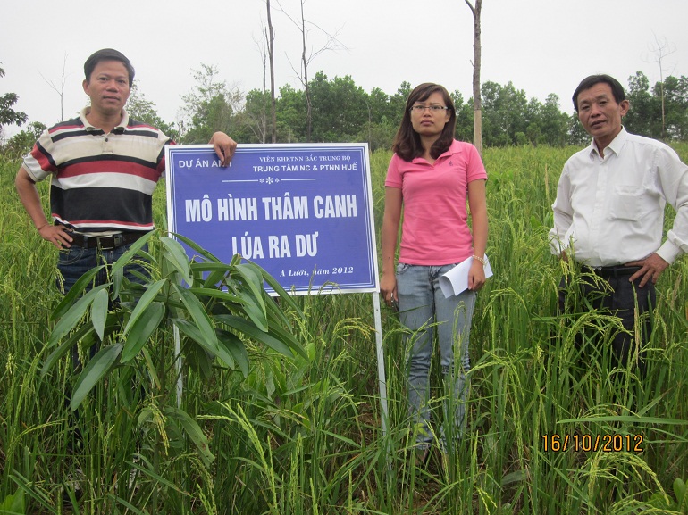 Xem chi tiết