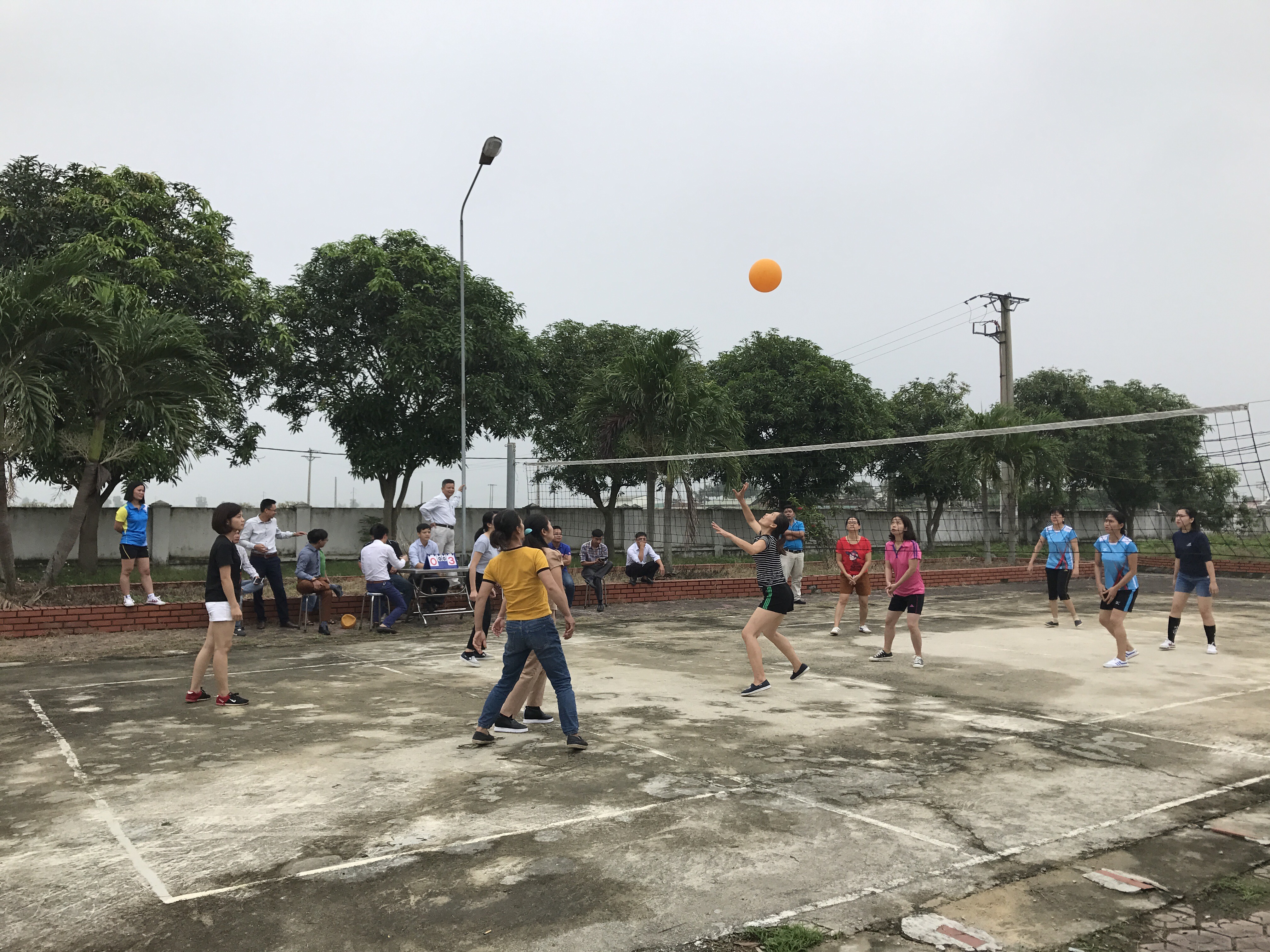 IMG_5253.jpeg