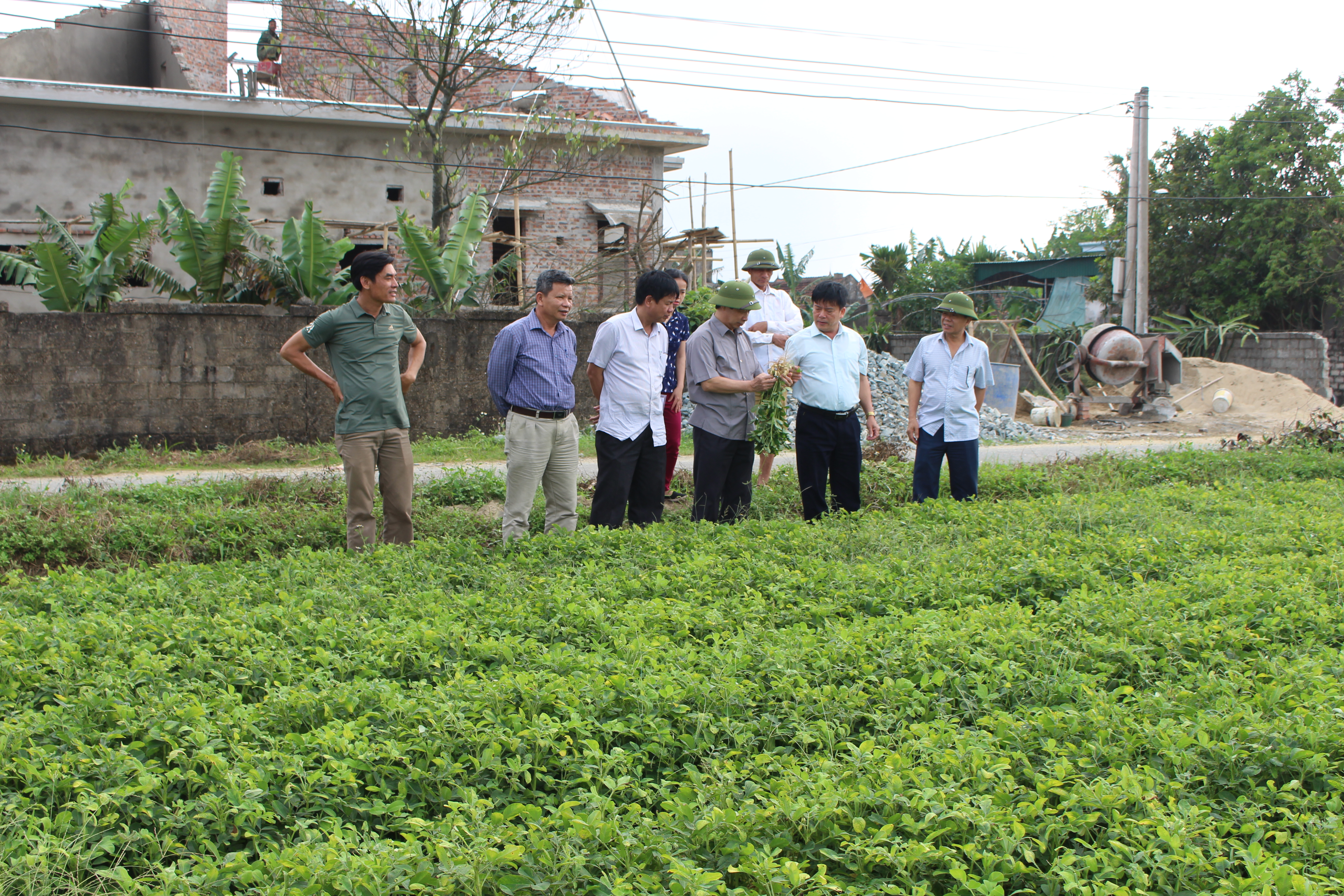 Xem chi tiết