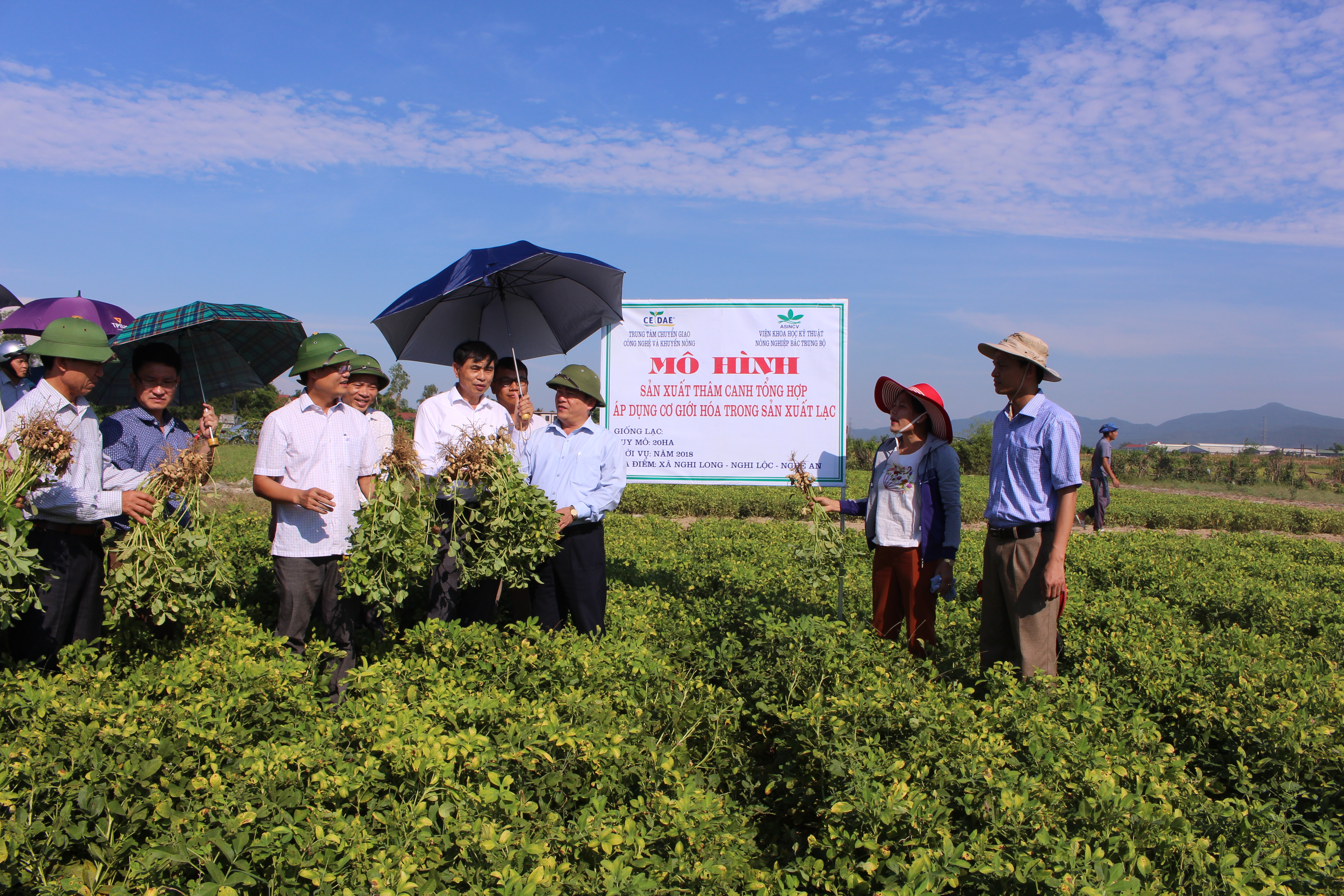 Xem chi tiết