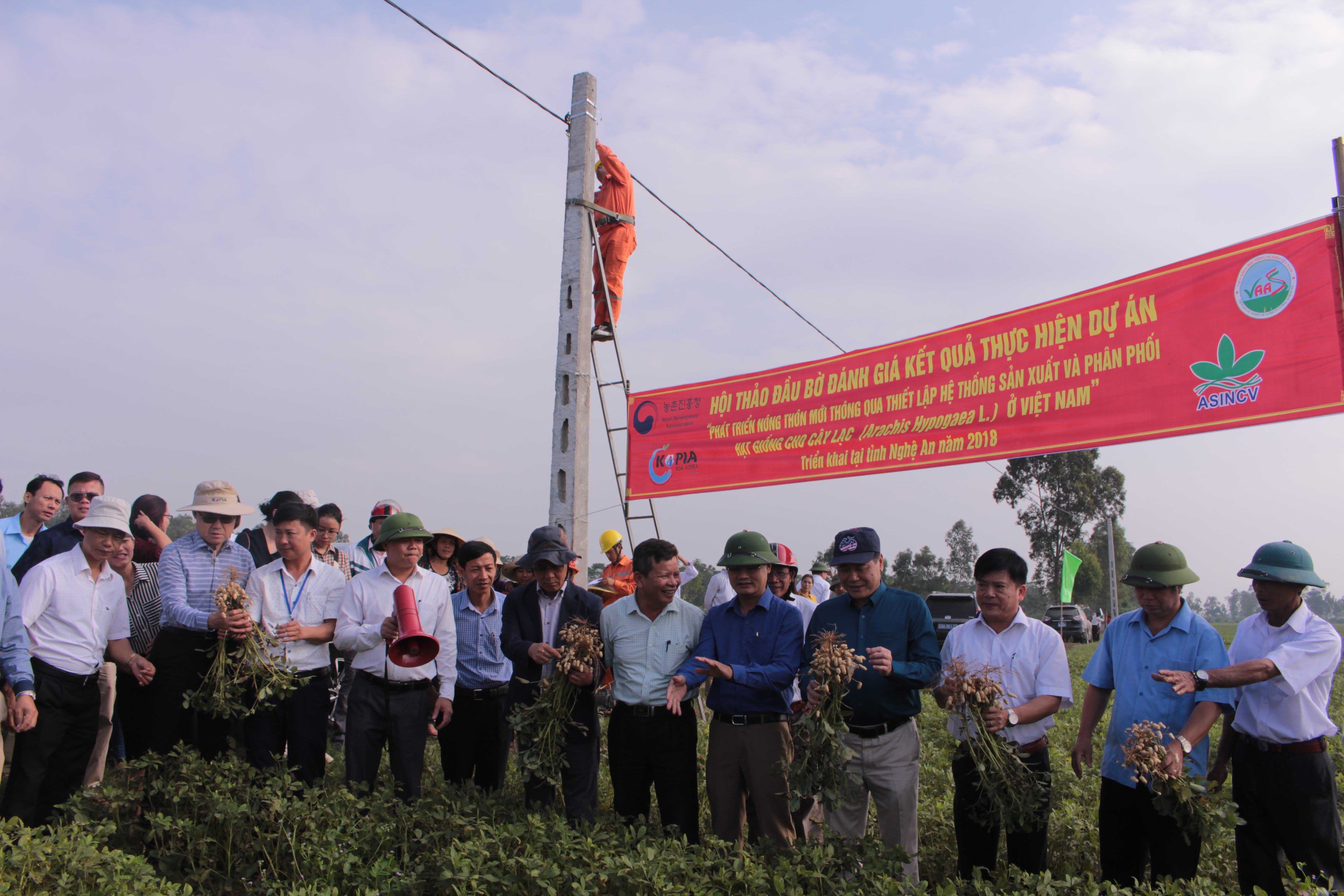 Xem chi tiết