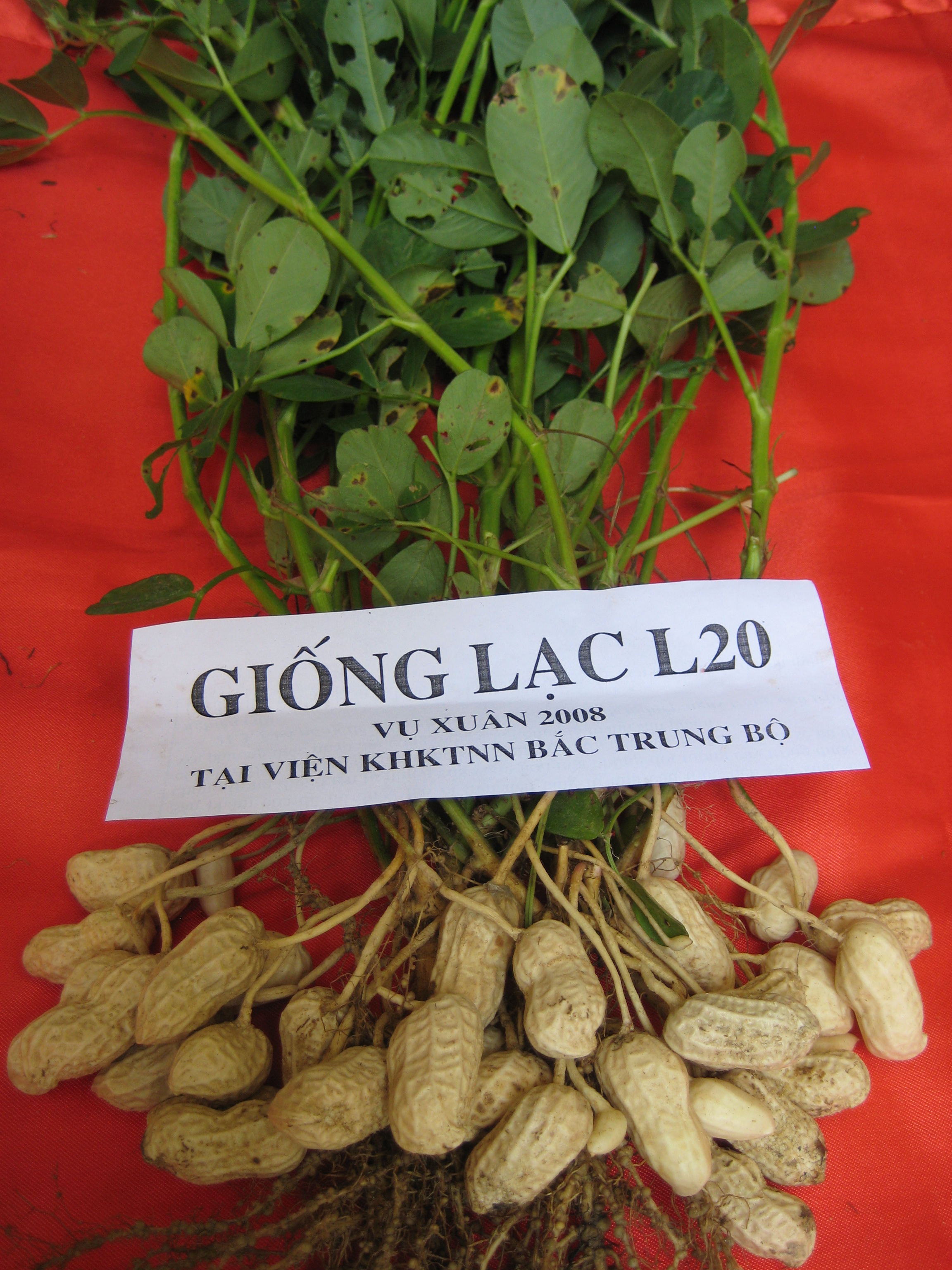 Xem chi tiết