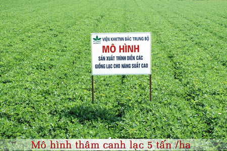 Xem chi tiết