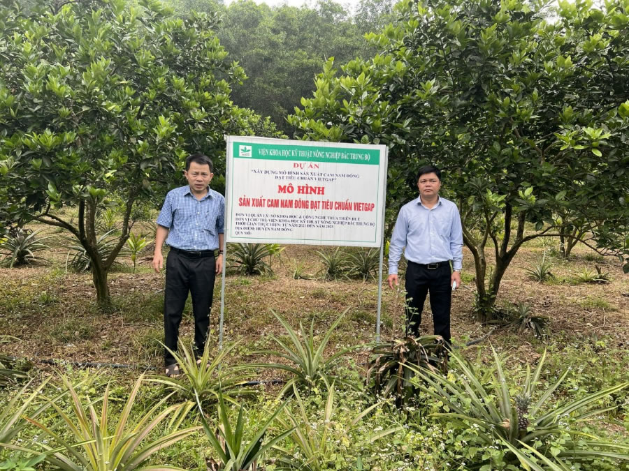 Xem chi tiết