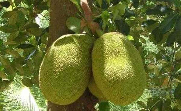 Xem chi tiết