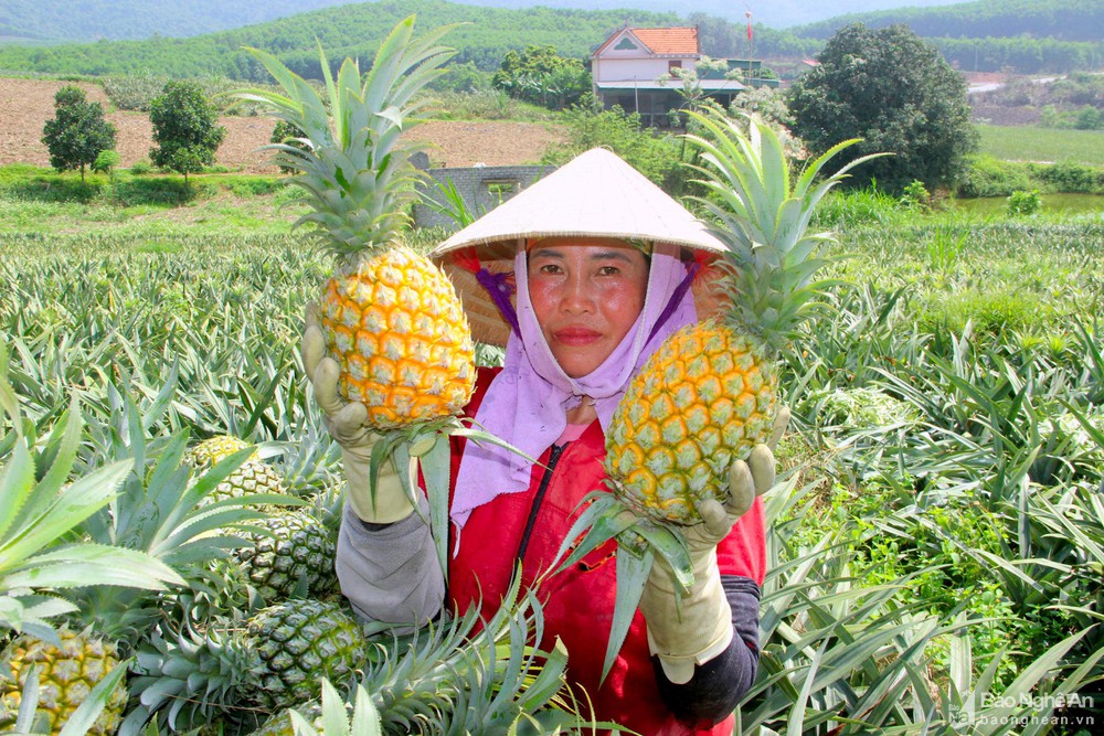Xem chi tiết