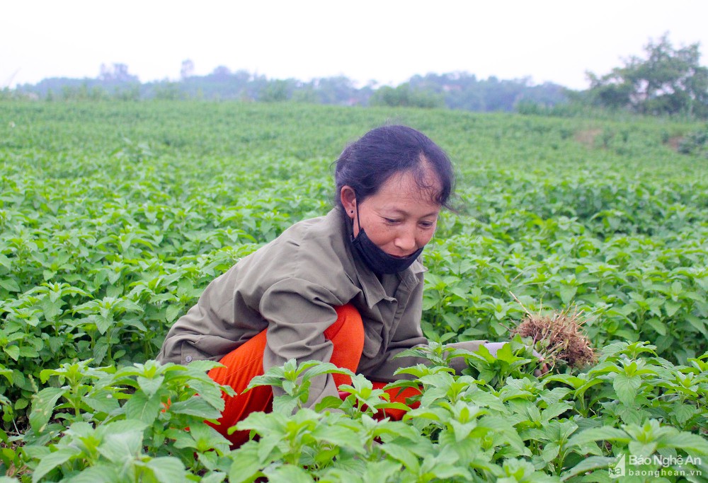 Xem chi tiết