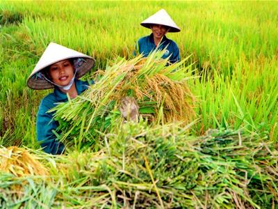 Xem chi tiết