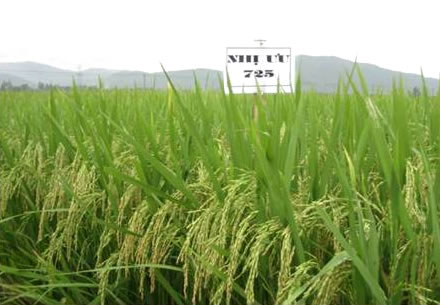 Xem chi tiết