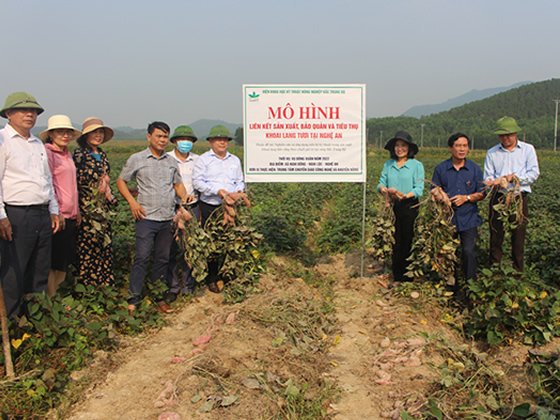 Xem chi tiết