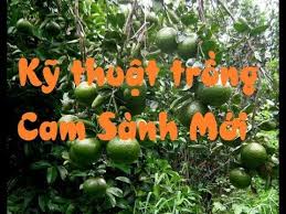 Xem chi tiết