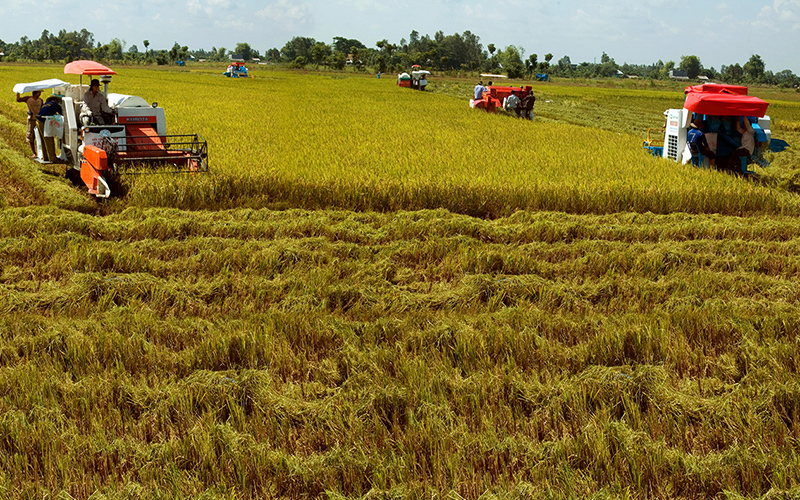 Xem chi tiết