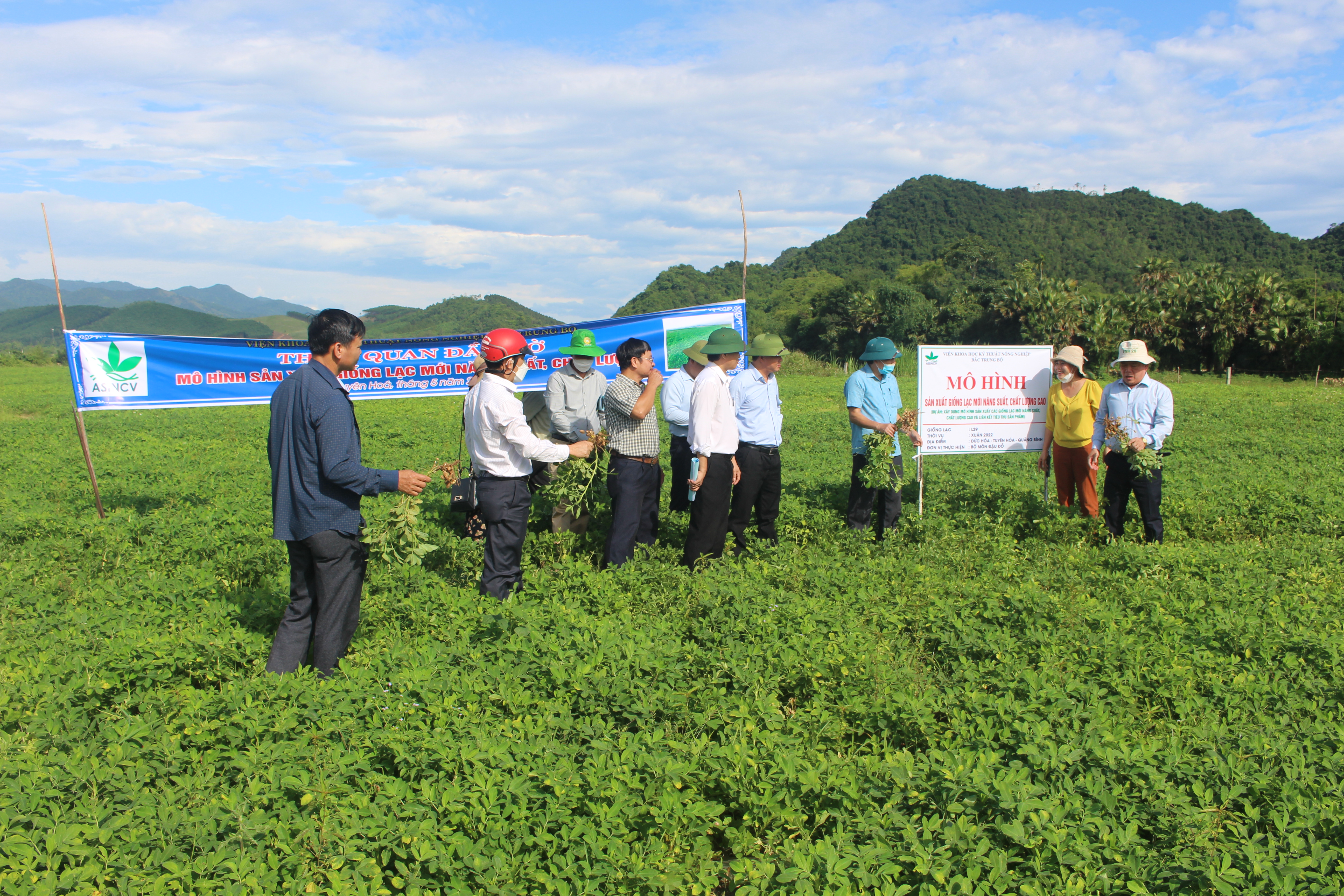 Xem chi tiết
