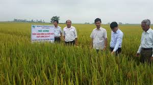Xem chi tiết