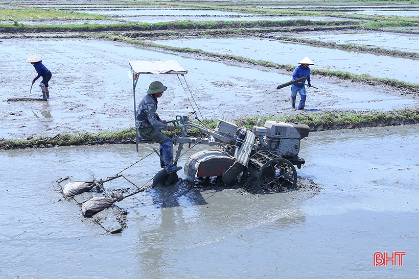 Xem chi tiết