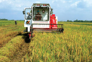 Xem chi tiết