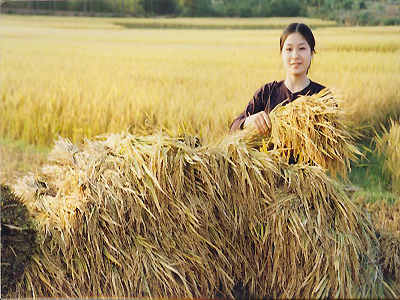 Xem chi tiết