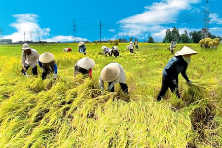 Xem chi tiết