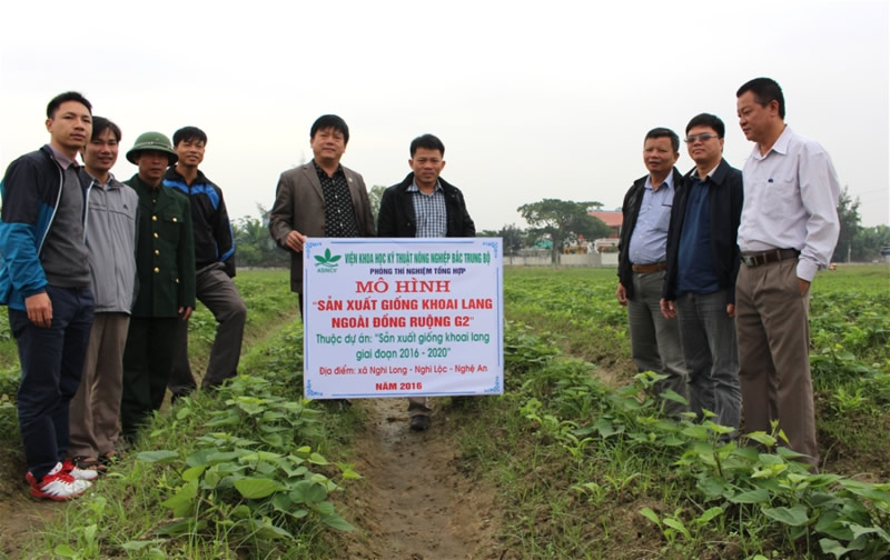 Xem chi tiết