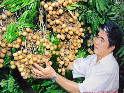 Xem chi tiết
