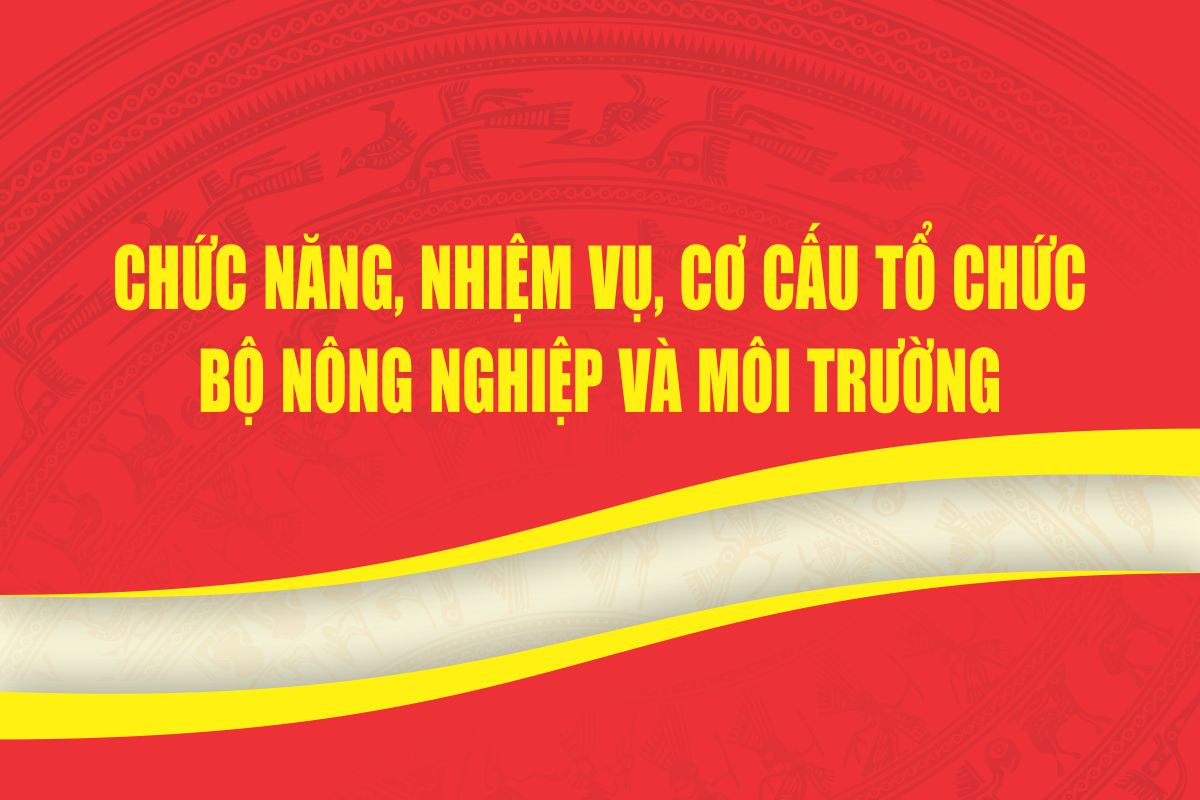 Xem chi tiết