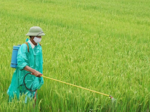 Xem chi tiết