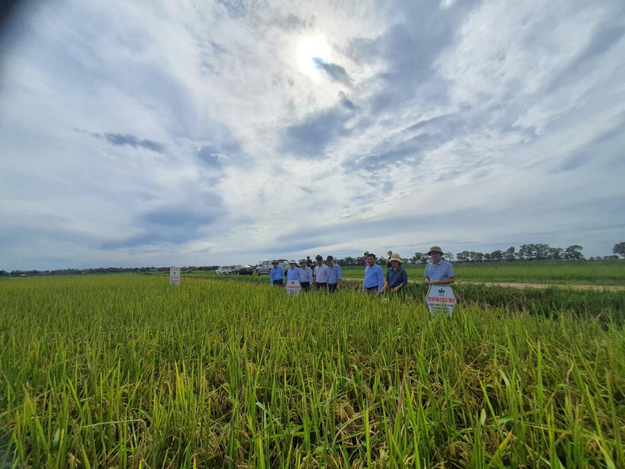 Xem chi tiết