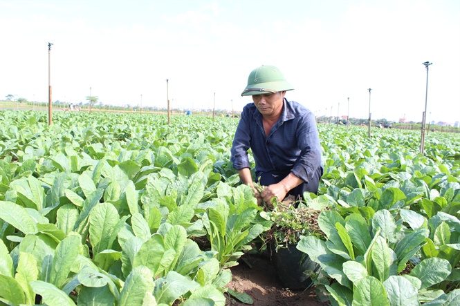 Xem chi tiết