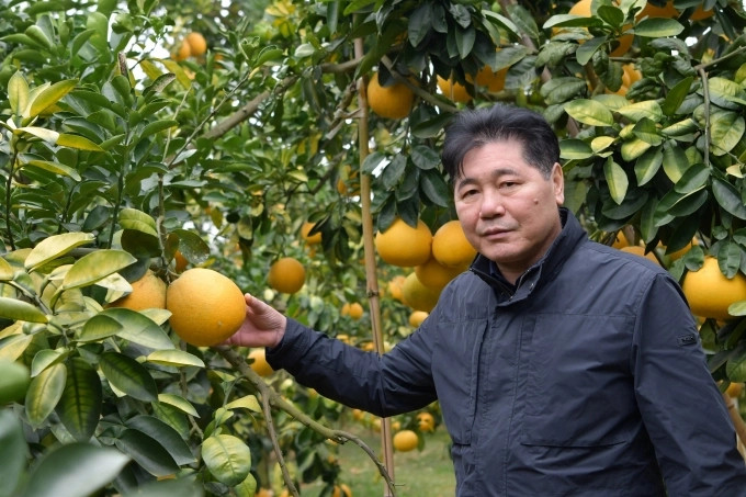 Xem chi tiết