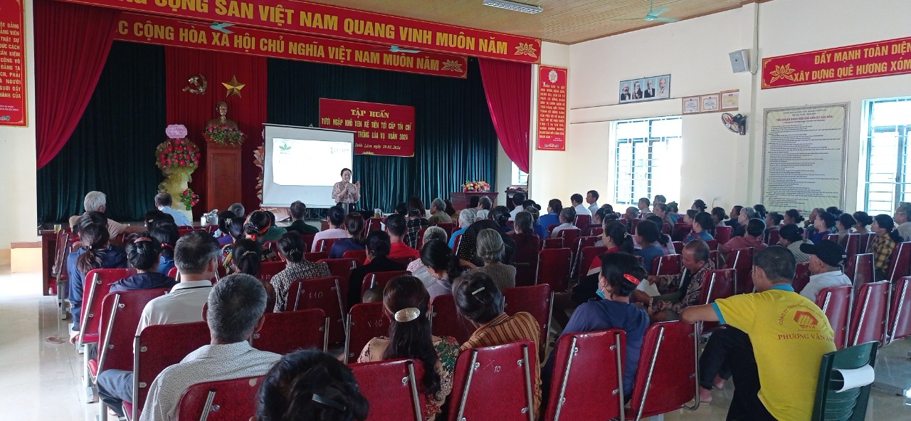 Xem chi tiết