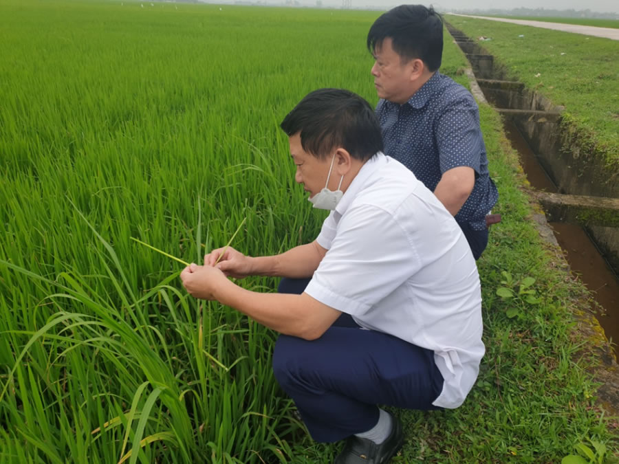 Xem chi tiết