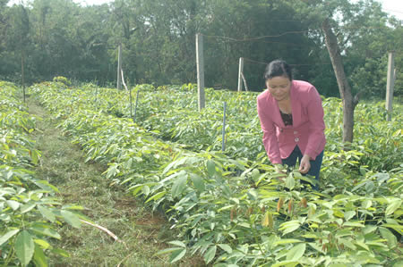 Xem chi tiết