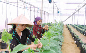 Xem chi tiết