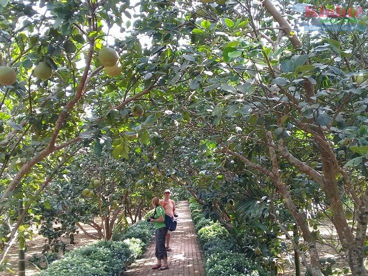 Xem chi tiết
